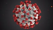 COVID-19 virus-CDC image