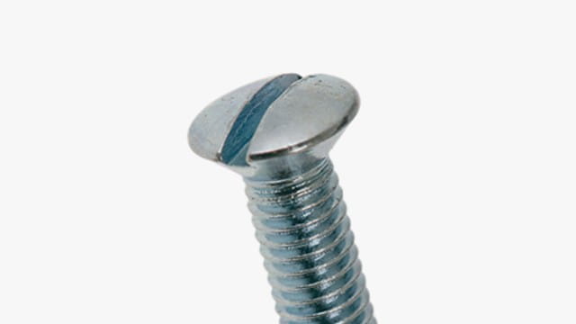 linsehoved bolt