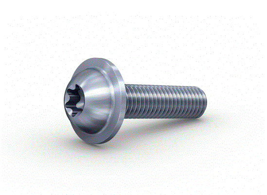 Multifunctional screw