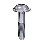 Self-tapping Screw