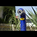 erfolgsgeschichte-hinni-ag-schweiz-2